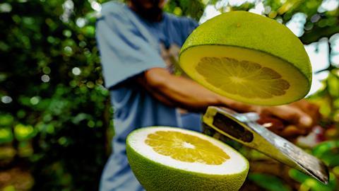 pomelo