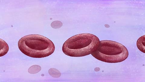 blood cells