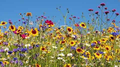 shutterstock_1789799468