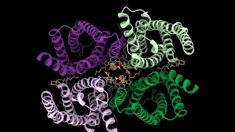 PDB_6nf4_Top_view,_colored,_cartoon_representation