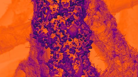 SEM of tin on carbon catalyst 2_no annotation