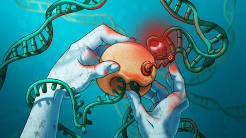 Kokic_transcriptionDNArepair