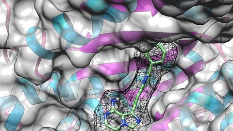 photoaffinity probe in protein