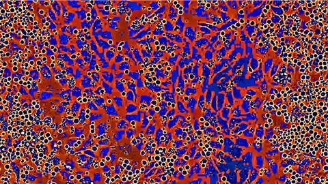 BW_Niche-Expansion_Colorized82_crop (003)__