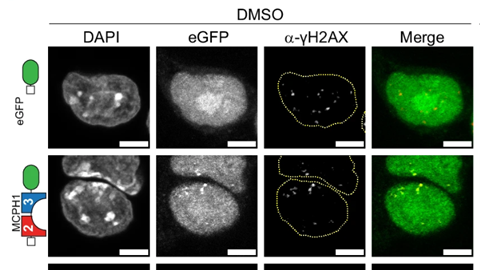 Schermafbeelding 2025-12-02 161008