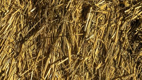 1280px-Straw_texture