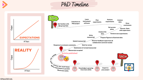 C2W_ColumnIsabelle_2024-10-30_PhDTimeline