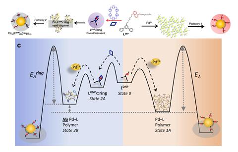 pathway_fig2_page-0014