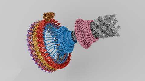 Flagellar_Motor_Assembly