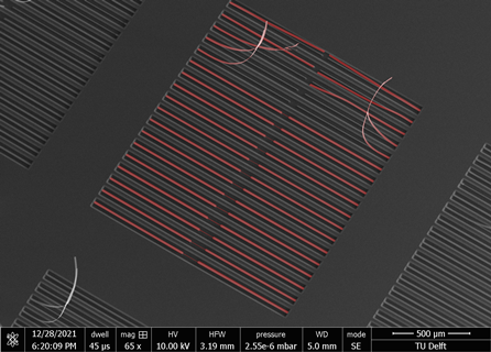 Strings Breaking SEM