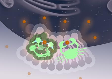 image actus recherche 13