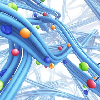network_with_colored_proteins_[11007]