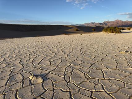 shutterstock_2615076293