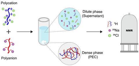 Polyelectrolyte graphical abstract