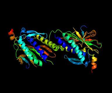 Protein_MAD2L2_PDB_3ABD