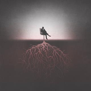 Roots
