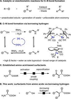 chem202500077-fig-0001-m