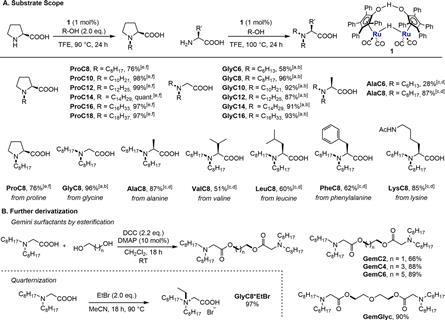 chem202500077-fig-0003-m