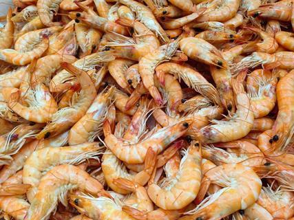 shrimp-g1e8c351fc_1280