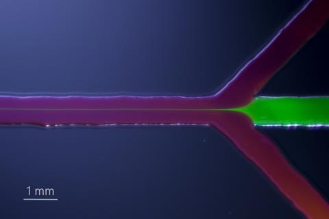 1620px-Hydrodynamic_flow_focusing_in_a_microfluidic_device