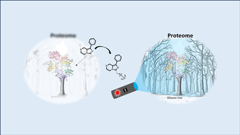 Lighting up the proteome forest