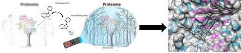 TOC photoaffinity probes