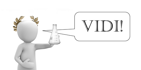Vidi