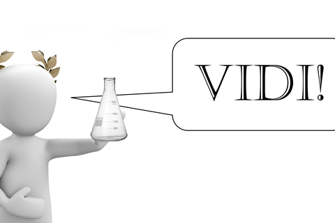Vidi