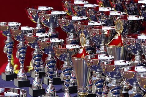 trophies-710169_1920 prijs winnaar