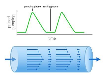 Björn Hof Paper Illustrations - laminar flow EN V2 (c) Thomas Zauner ISTA