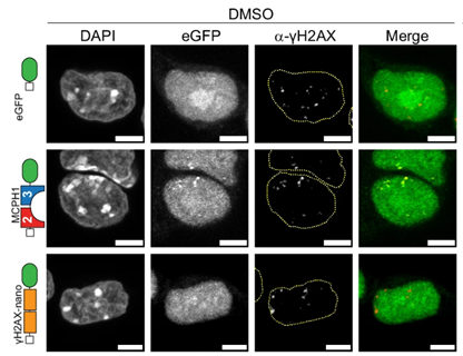 Schermafbeelding 2025-12-02 161008
