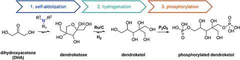 Reaction mechanism dendroketol