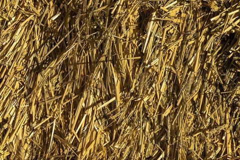 1280px-Straw_texture