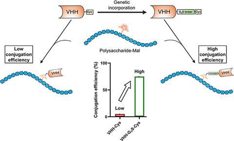 VHH schema