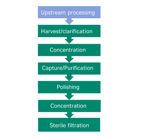 Downstream processing workflow