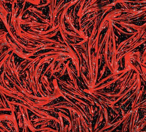 Differentiating muscle cells