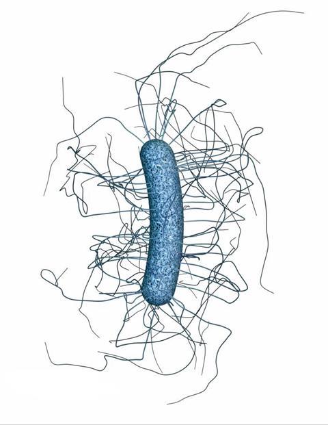 Clostridium_difficile_CDC_mod