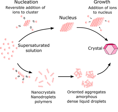 Klassieke versus niet-klassieke ucleatieproces