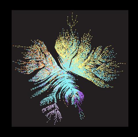 sFig_MST_nodes_frac1nonOriented_black