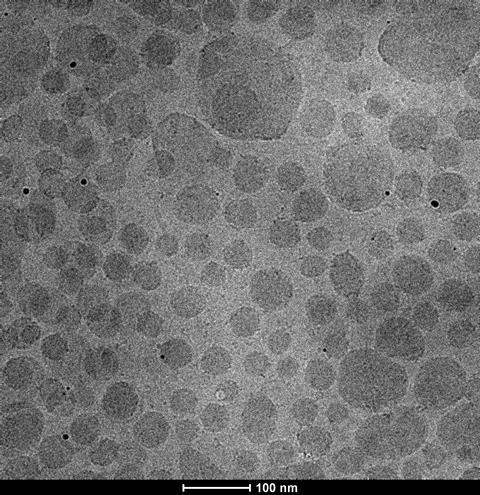 lipide nanodeeltjes met RNA (bron Ray Schiffelers nanomedicine lab UMC Utrecht)_EB