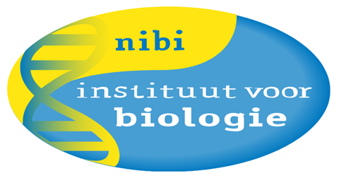 Nibi logo