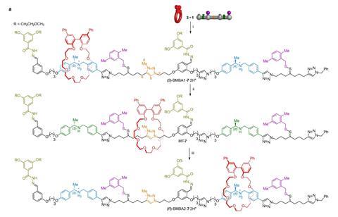 Molecular ratchet