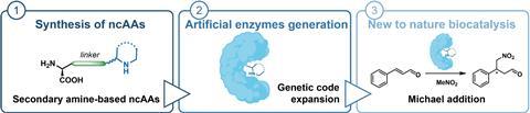 Graphical Abstract