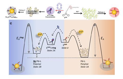 pathway_fig2_page-0014