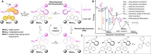 Concept and compounds from the paper