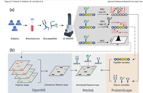 glycopeptide LCMSMS