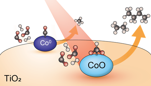 Scheme of catalyst model