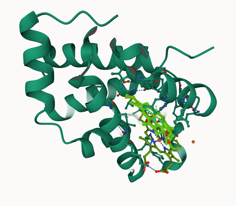 AlphaFill hemoglobin subunit beta with heme highlighted