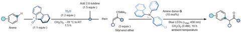 The strategy in action: alkylation