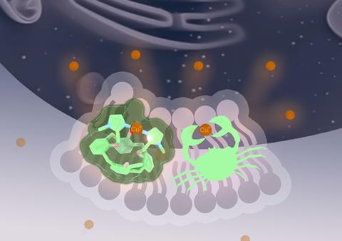 image actus recherche 13